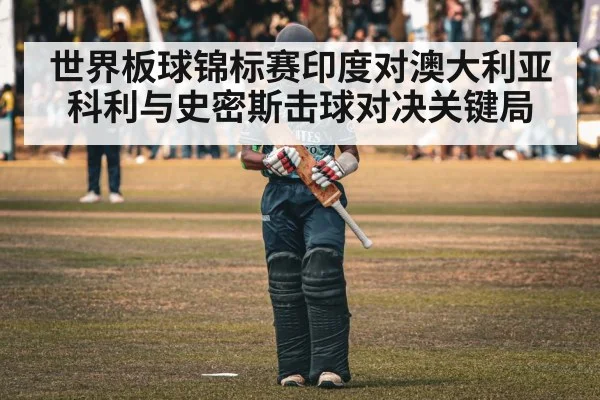世界板球锦标赛印度对澳大利亚科利与史密斯击球对决关键局